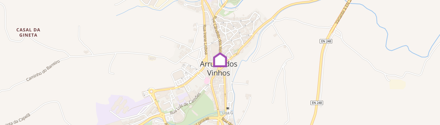 listing-map-picture