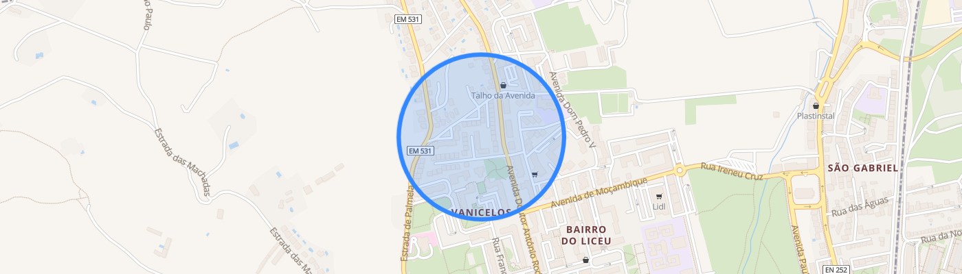 listing-map-picture