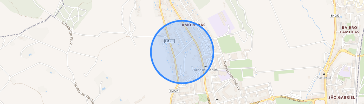 listing-map-picture