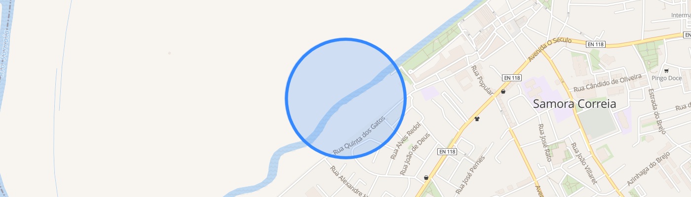 listing-map-picture