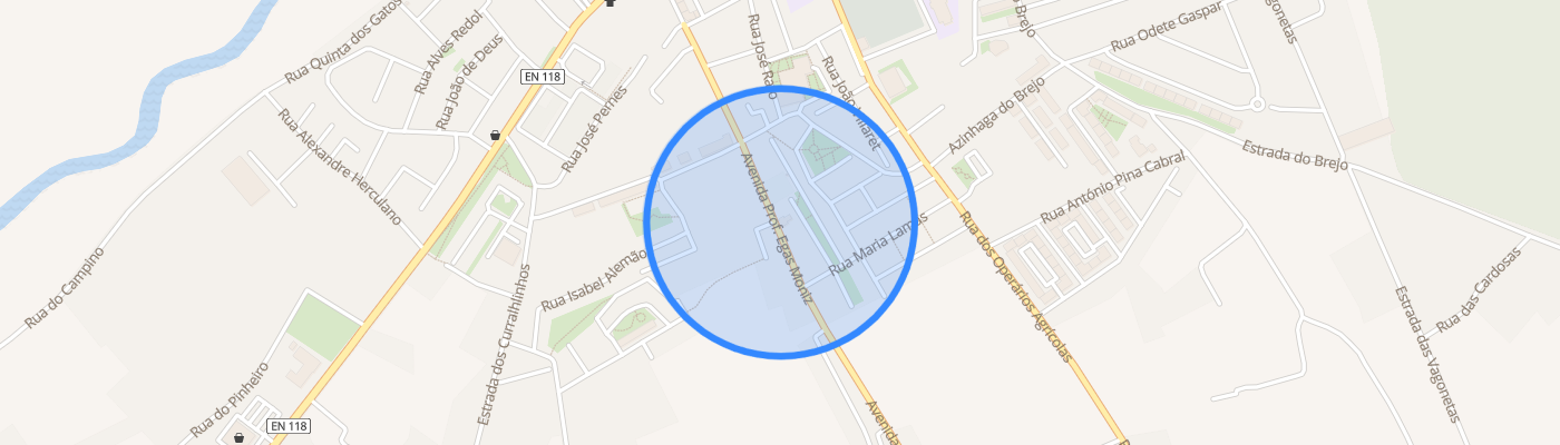 listing-map-picture