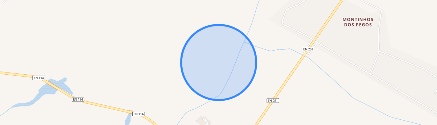 listing-map-picture