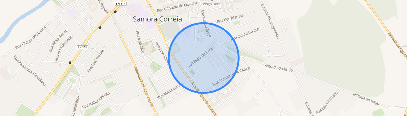 listing-map-picture