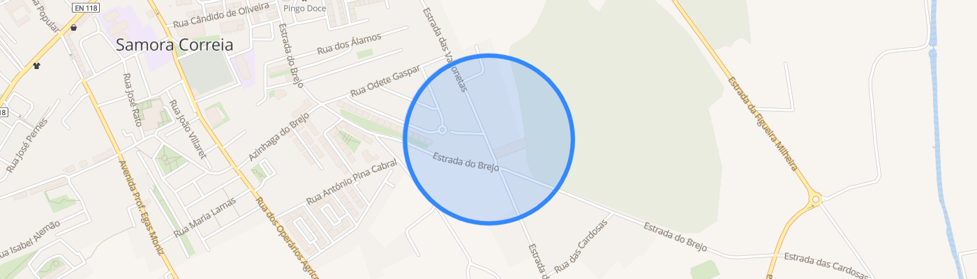 listing-map-picture