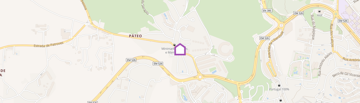 listing-map-picture