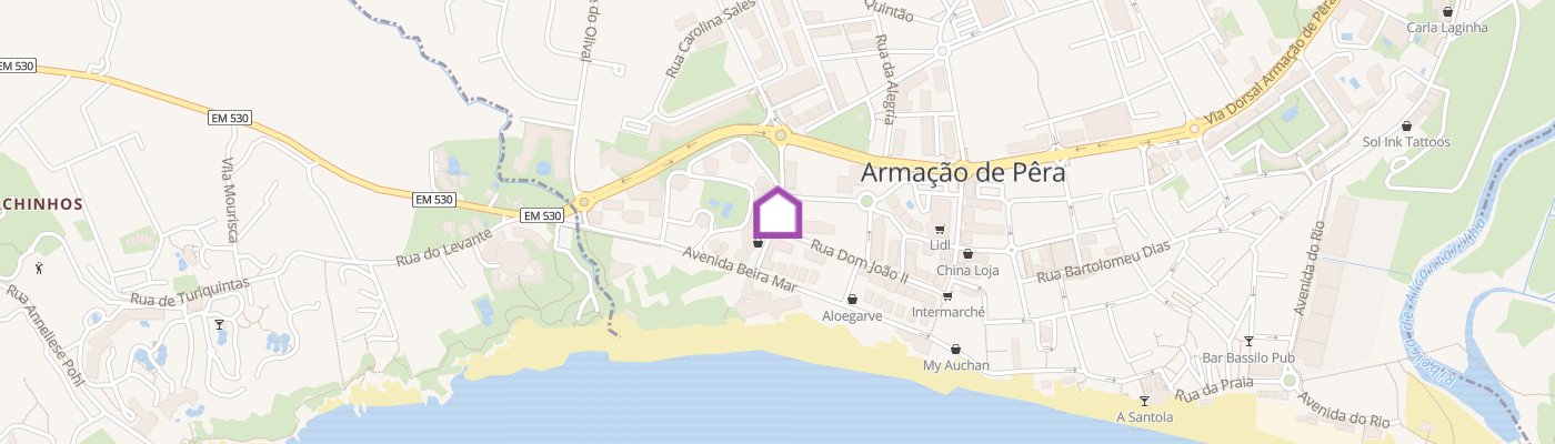 listing-map-picture