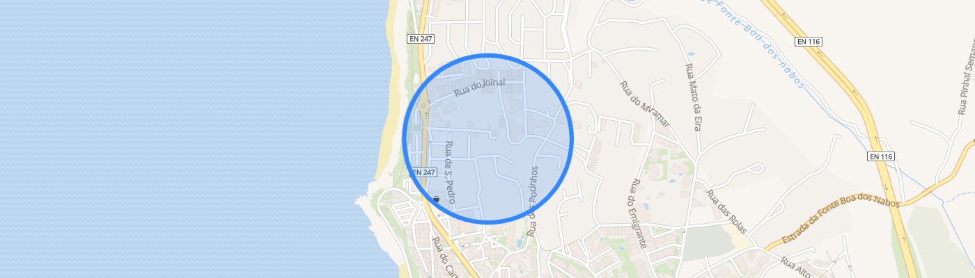 listing-map-picture
