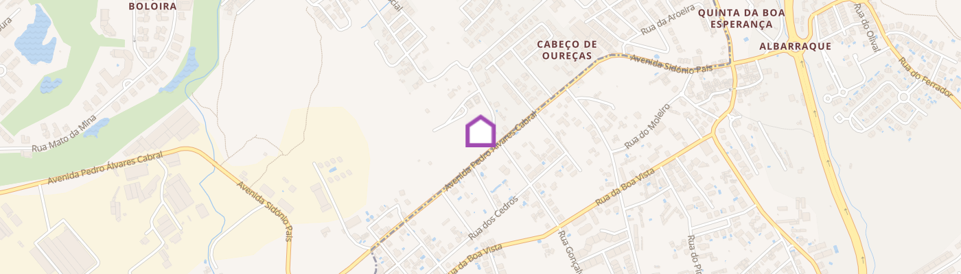 listing-map-picture