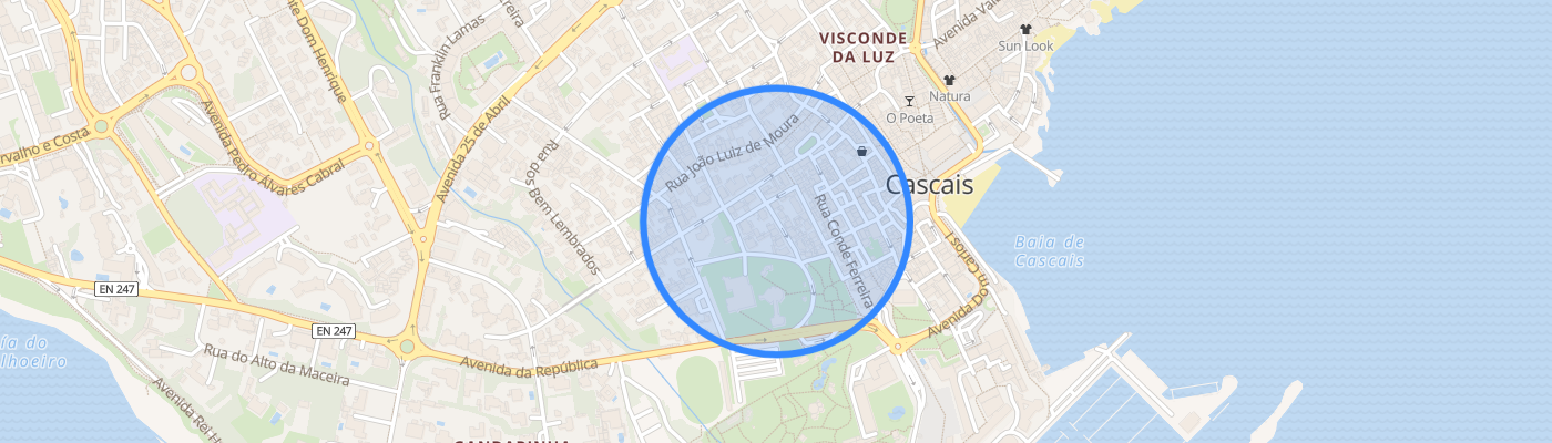 listing-map-picture