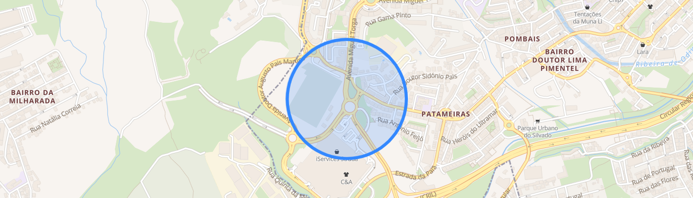 listing-map-picture