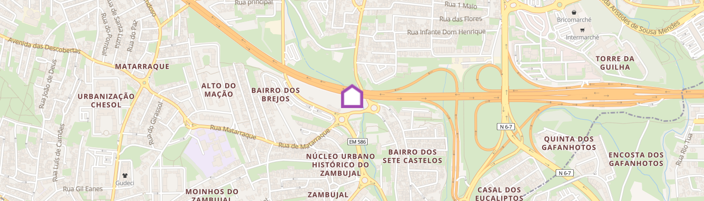 listing-map-picture