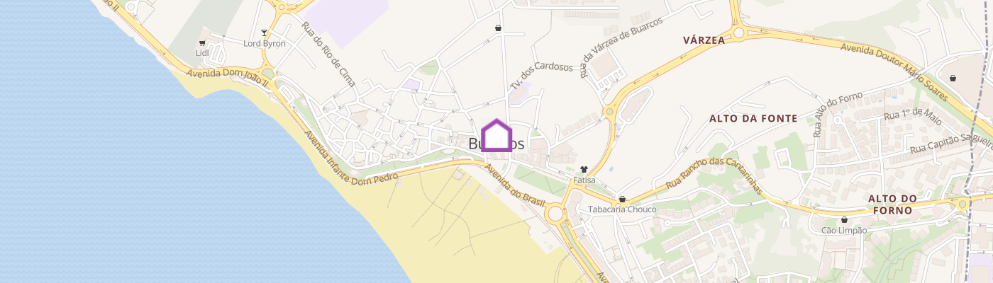 listing-map-picture