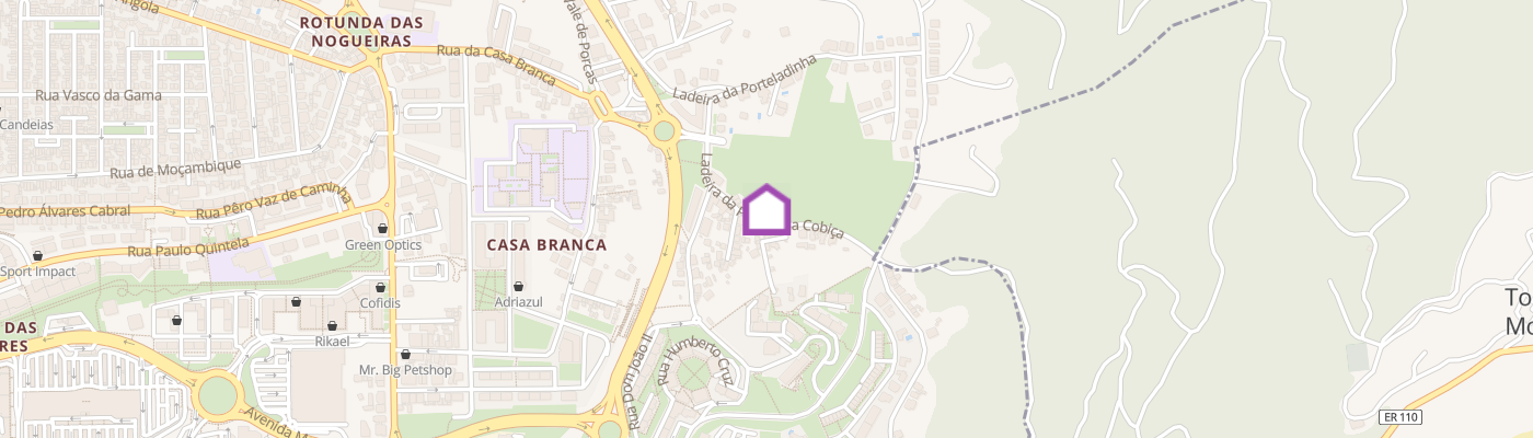 listing-map-picture