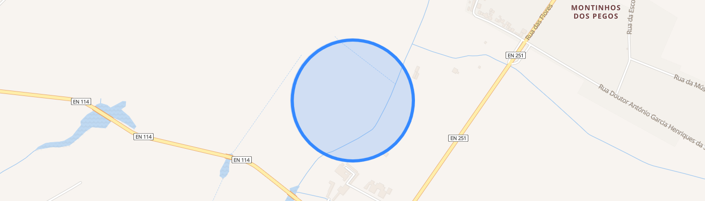 listing-map-picture