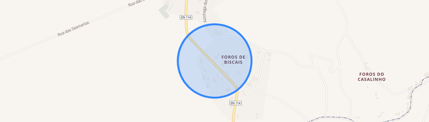 listing-map-picture