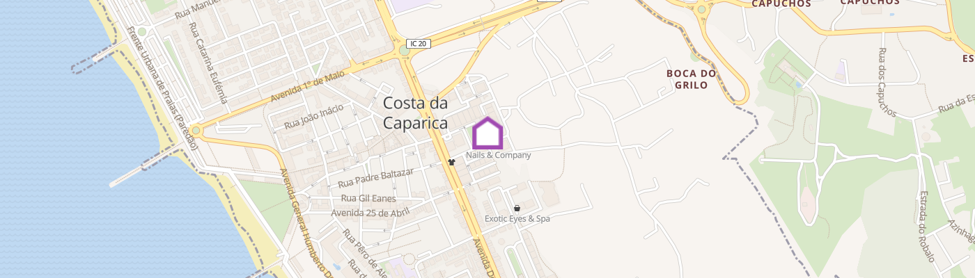 listing-map-picture