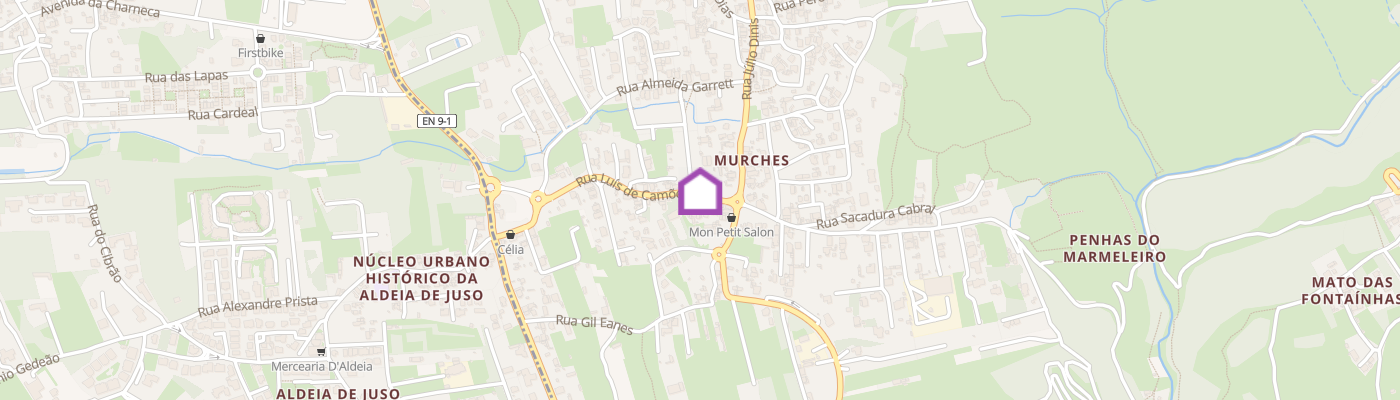 listing-map-picture