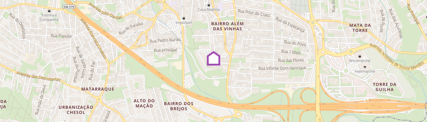 listing-map-picture