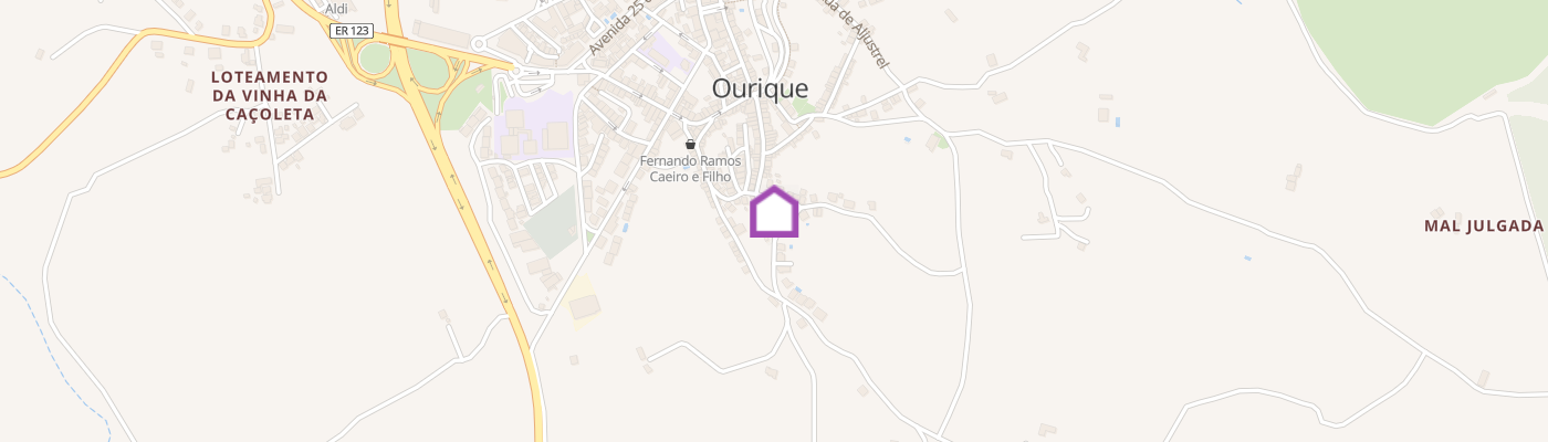 listing-map-picture