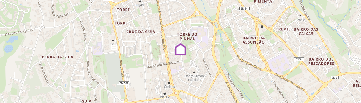 listing-map-picture