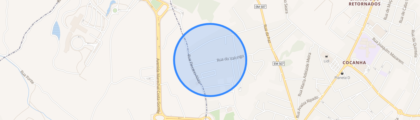 listing-map-picture