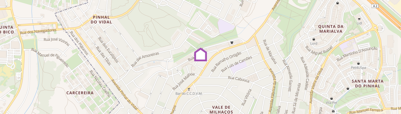 listing-map-picture