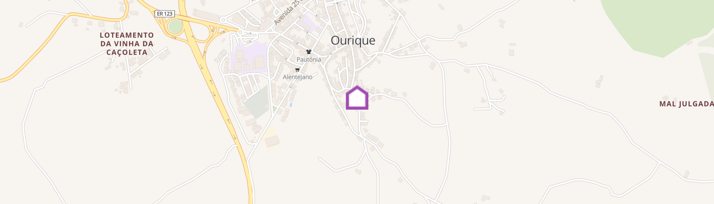 listing-map-picture