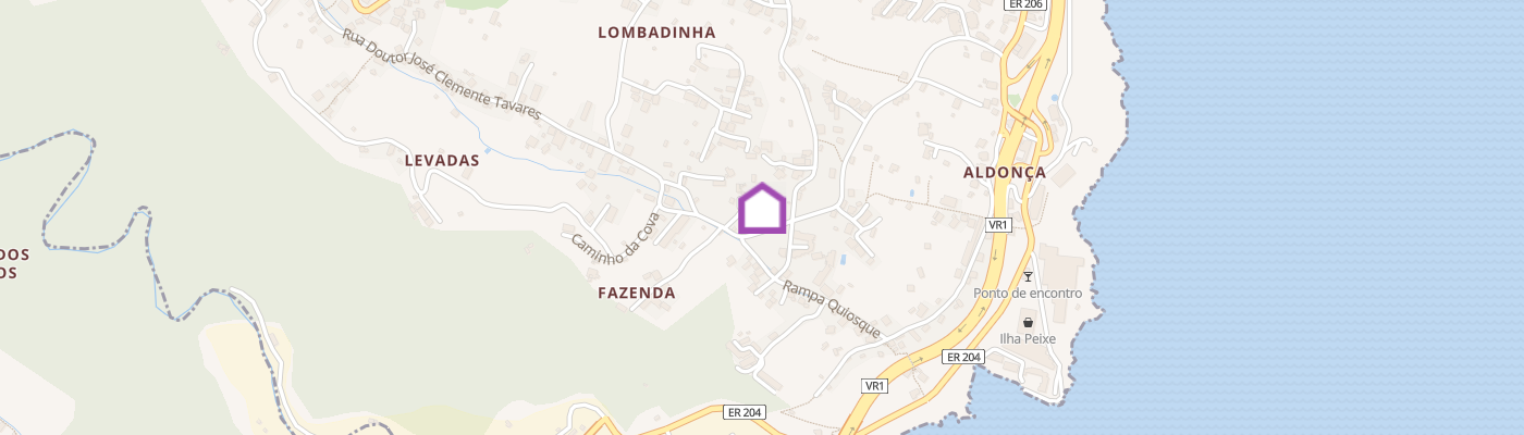 listing-map-picture