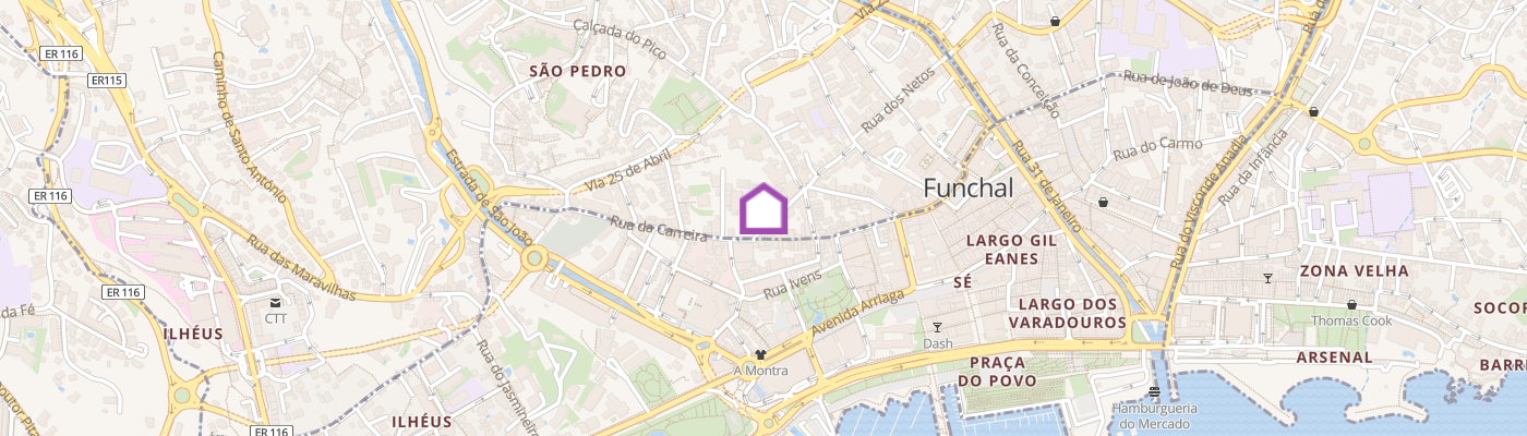 listing-map-picture