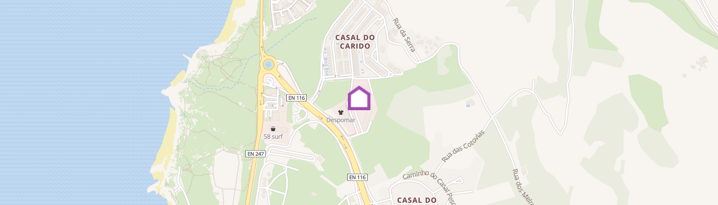 listing-map-picture