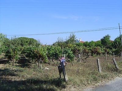 listing-picture-0