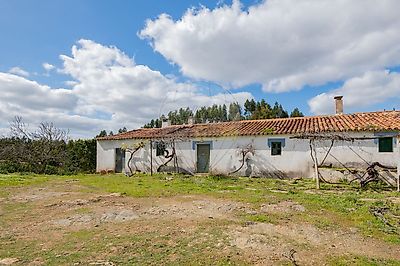 listing-picture-0