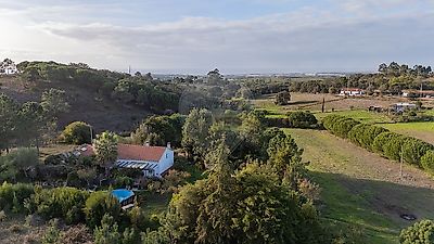 listing-picture-0