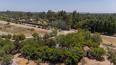 listing-picture-0