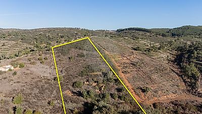 listing-picture-0