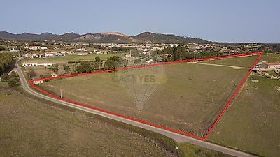 listing-picture-0