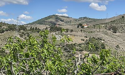 listing-picture-0