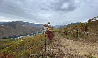listing-picture-0