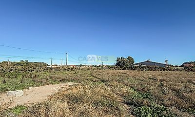 listing-picture-0