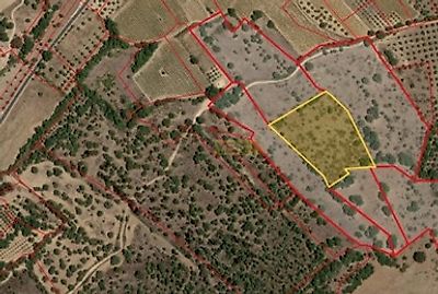 listing-picture-0
