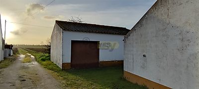 listing-picture-0