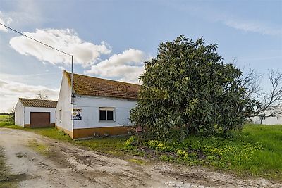 listing-picture-0