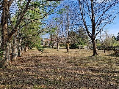 listing-picture-0