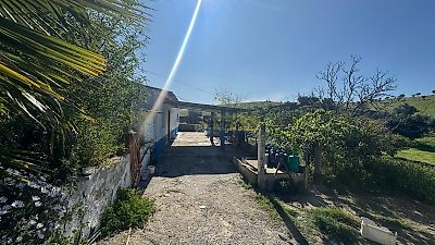 listing-picture-0