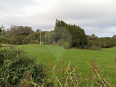 listing-picture-0