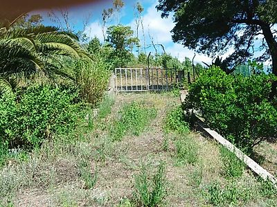 listing-picture-0