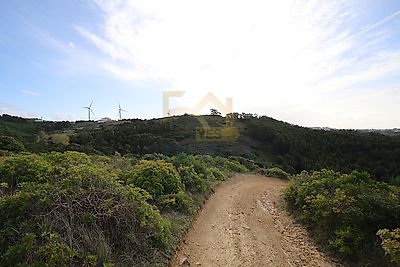 listing-picture-0