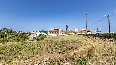 listing-picture-0