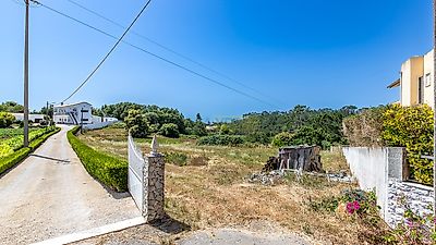 listing-picture-0