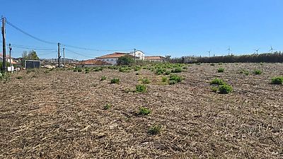 listing-picture-0